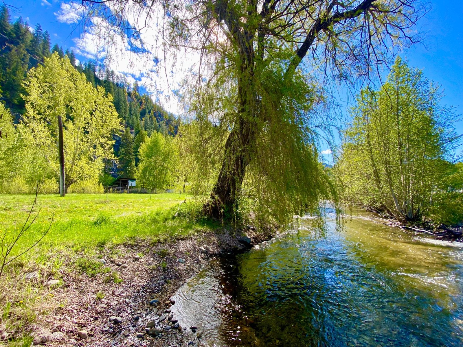 1800 Highway 3, Christina Lake, British Columbia  V0H 1E3 - Photo 2 - 2475086