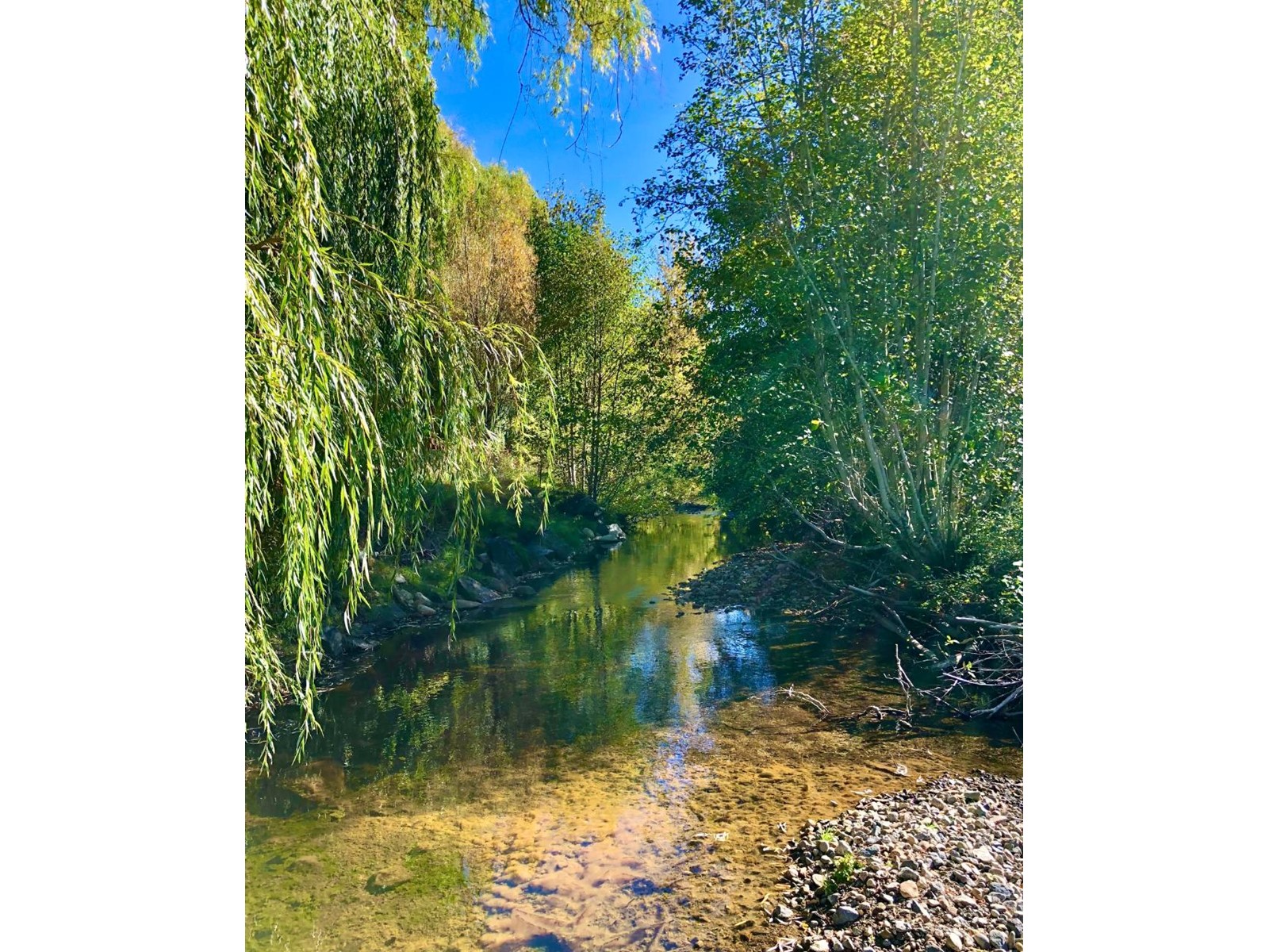 1800 Highway 3, Christina Lake, British Columbia  V0H 1E3 - Photo 37 - 2475086