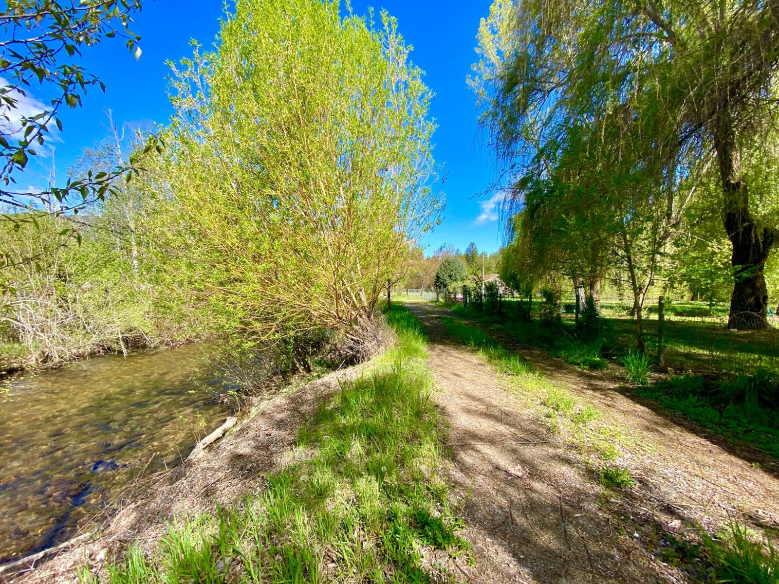 1800 Highway 3, Christina Lake, British Columbia  V0H 1E3 - Photo 38 - 2475086