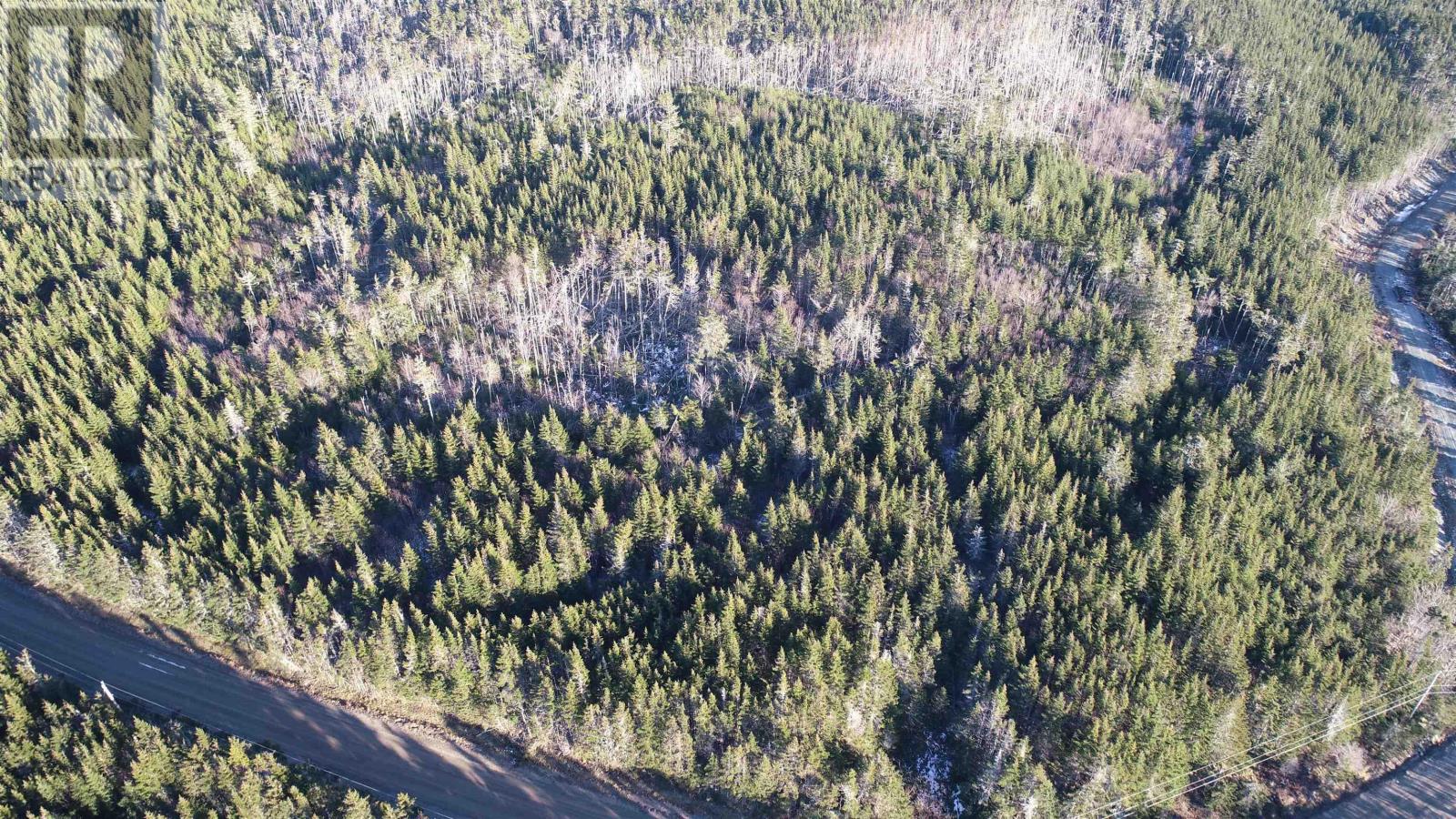 Lot 4 Pyes Head Road, Liscomb, Nova Scotia  B0J 2A0 - Photo 3 - 202403236