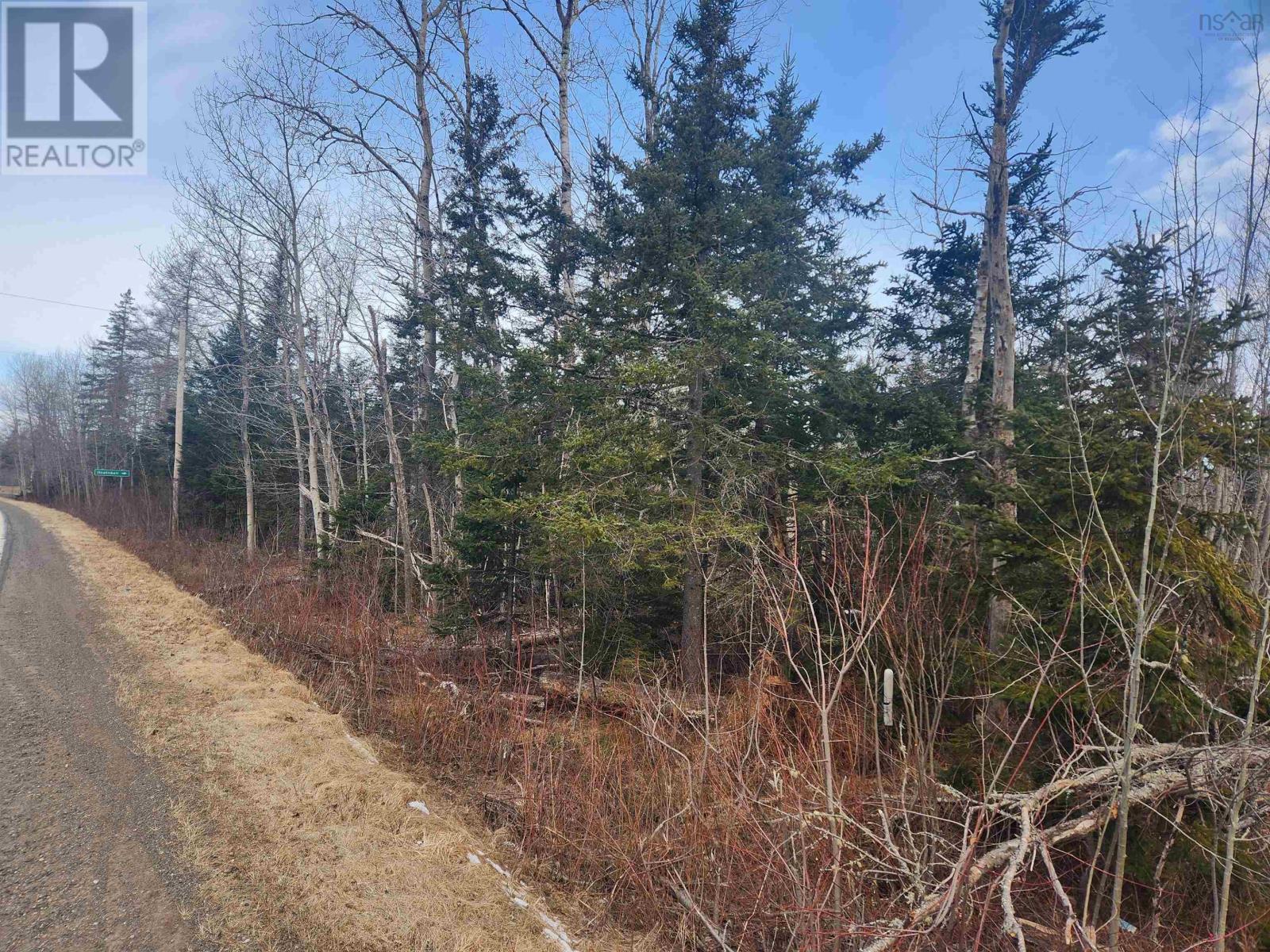 Heathbell Road, Scotsburn, Nova Scotia  B0K 1R0 - Photo 1 - 202403261