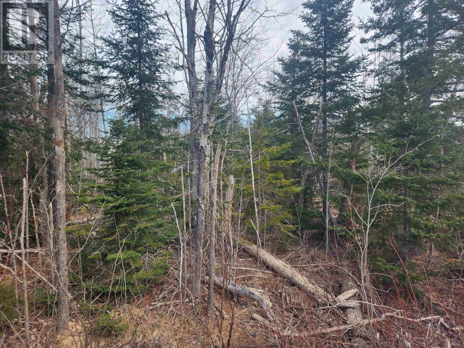 Heathbell Road, Scotsburn, Nova Scotia  B0K 1R0 - Photo 2 - 202403261
