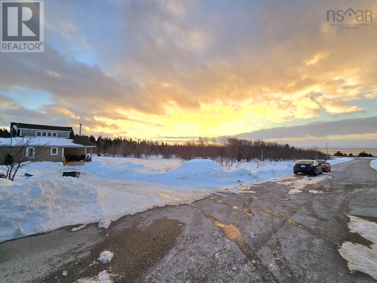 18 Cooks Lane, Victoria Mines, Nova Scotia  B1N 3J6 - Photo 39 - 202403235