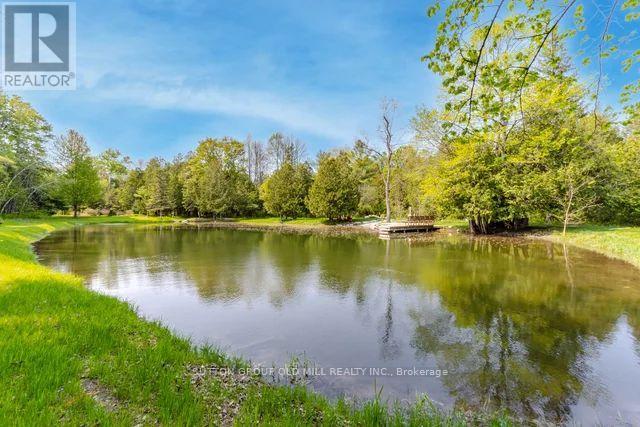 15 Pine River Cres, Mulmur, Ontario  L0N 1M0 - Photo 19 - X8087476