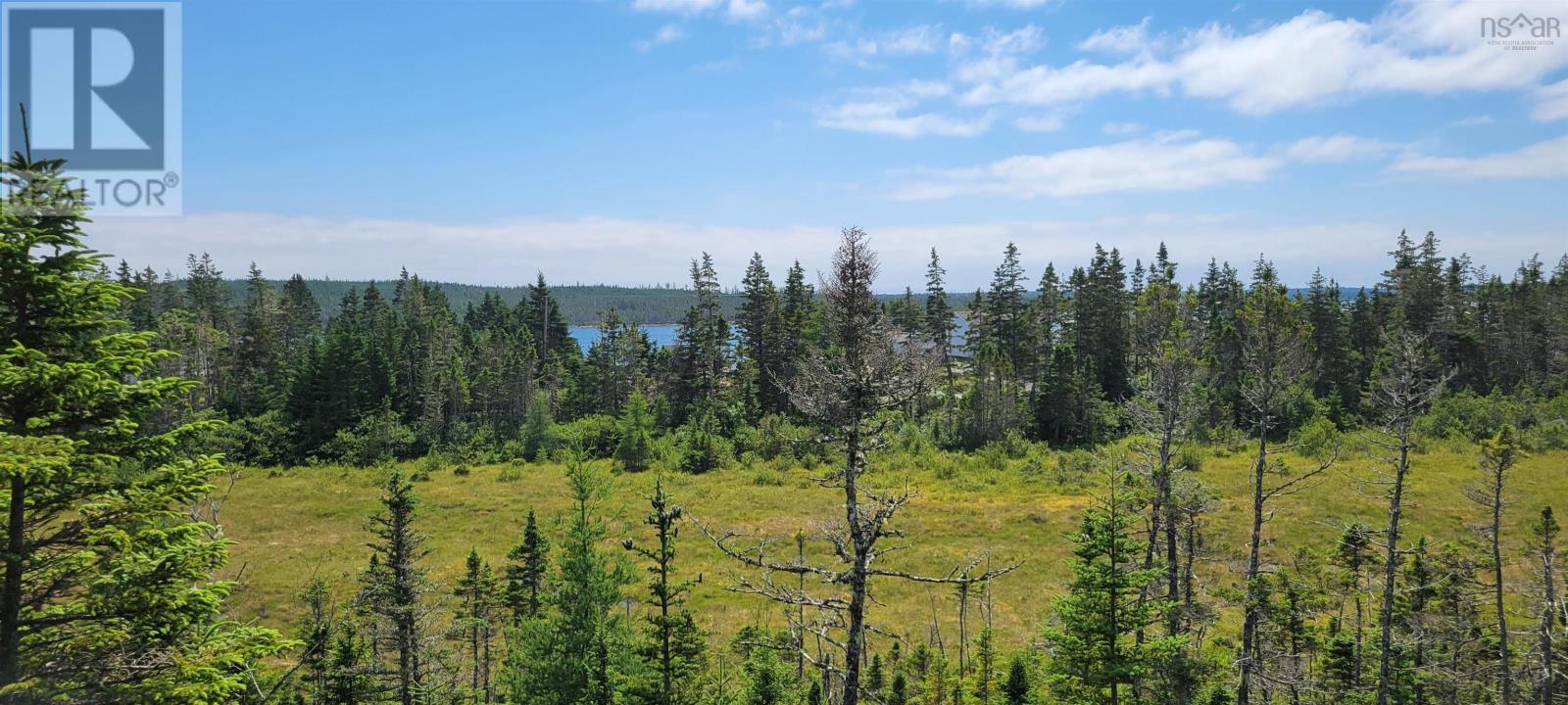 316 Little Liscomb Road, Little Liscomb, Nova Scotia  B0J 2A0 - Photo 6 - 202403280