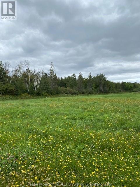 Lot Ha 21-2 945 Rte, Haute Aboujagane, New Brunswick  E4P 5T6 - Photo 1 - M157556