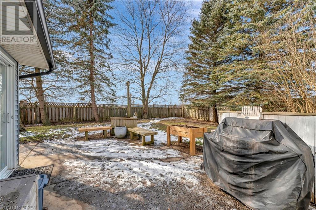 307 Baptist Church Road, Caledonia, Ontario  N3W 2G9 - Photo 38 - 40544934