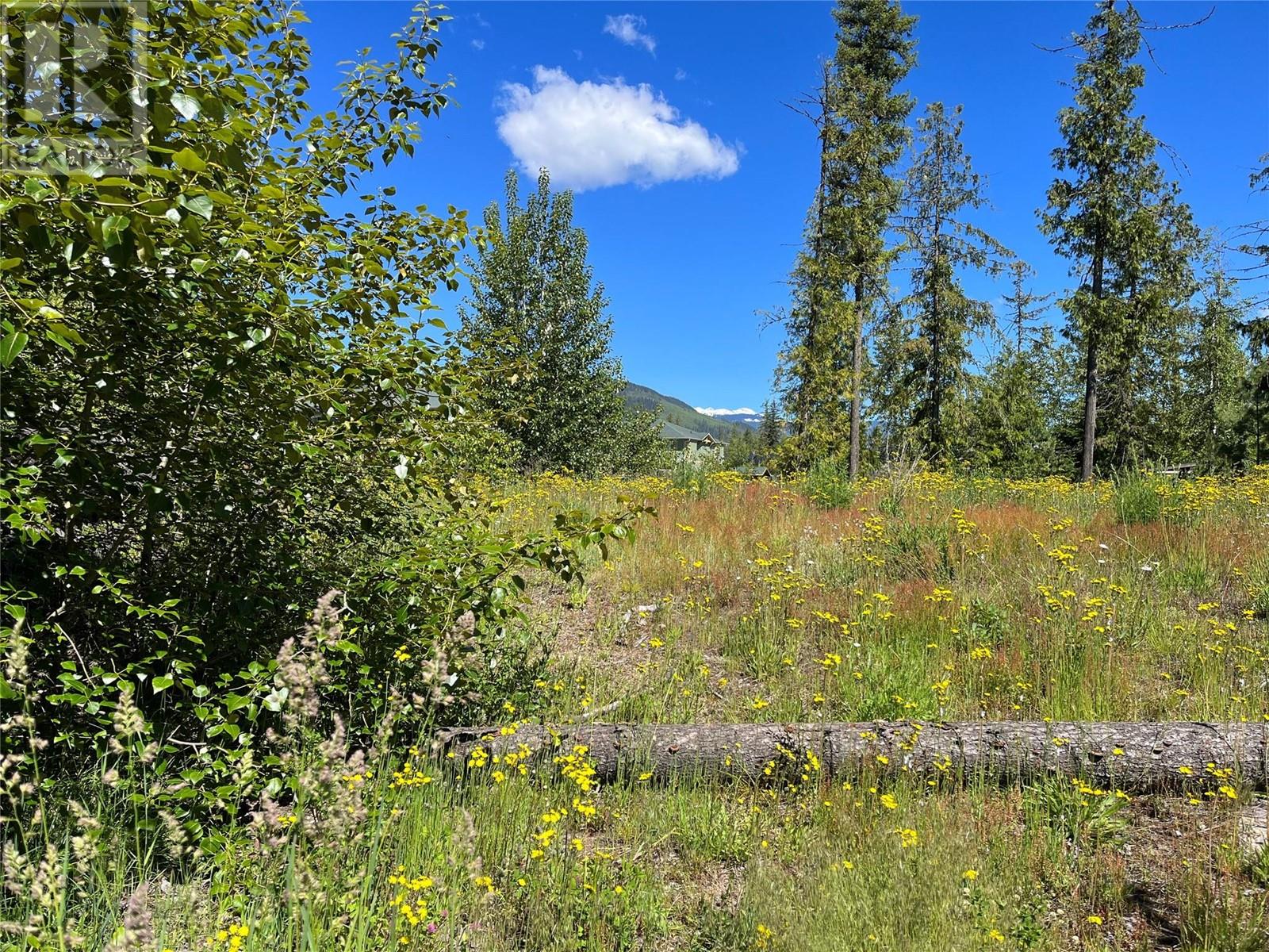 3479 Mabel Lake Place, Enderby, British Columbia  V0E 1V5 - Photo 21 - 10284880