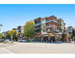 302 20728 WILLOUGHBY TOWN CENTRE DRIVE, langley, British Columbia