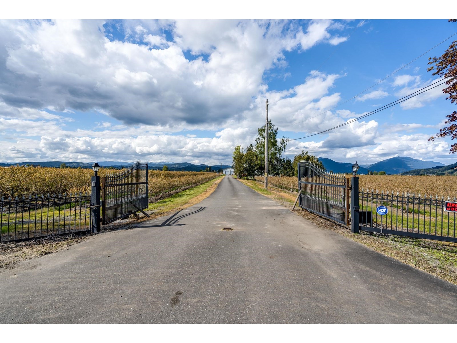 34659 Townshipline Road, Abbotsford, British Columbia  V3G 1R5 - Photo 13 - C8057829