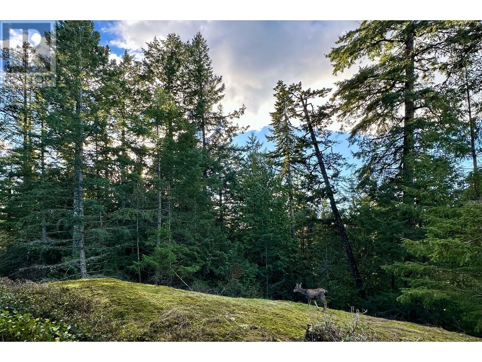 831 Windjammer Road, Bowen Island, British Columbia  V0N 1G2 - Photo 13 - R2852670