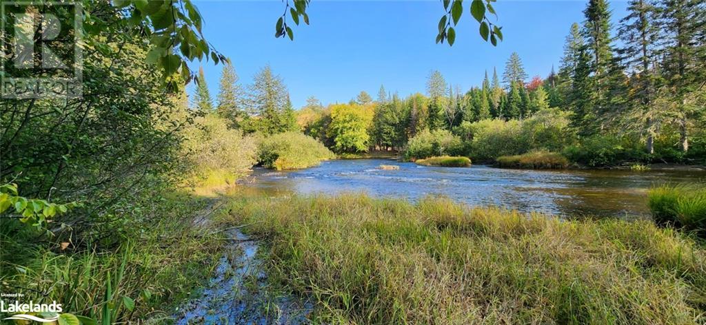 00 Deer Lake Road, Emsdale, Ontario  P0A 1J0 - Photo 17 - 40492752