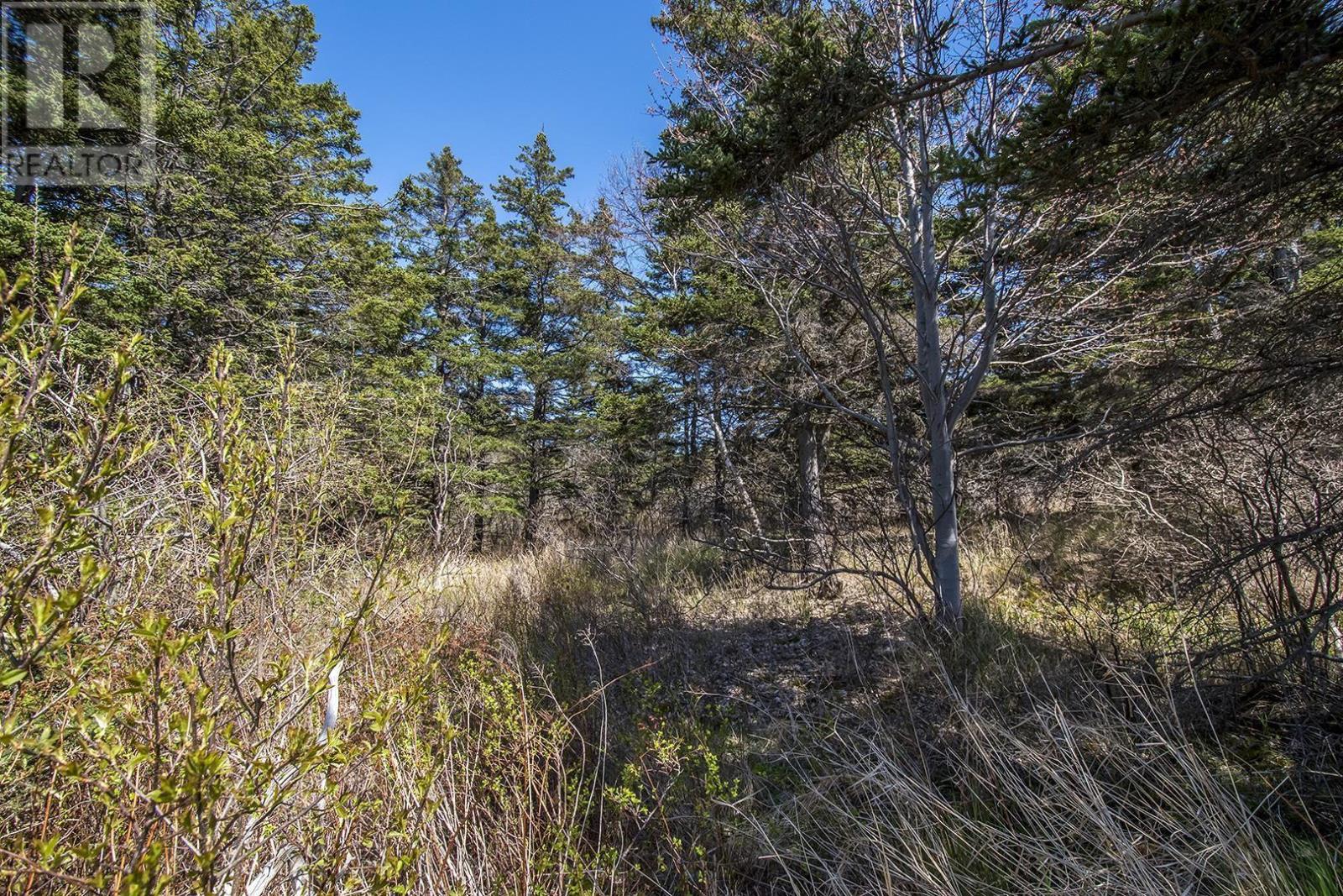 Lot 2021 Shore Road, Port George, Nova Scotia  B0S 1P0 - Photo 12 - 202403381