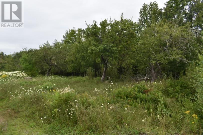 152 Walburne Road, Walden, Nova Scotia  B0J 2E0 - Photo 2 - 202403385