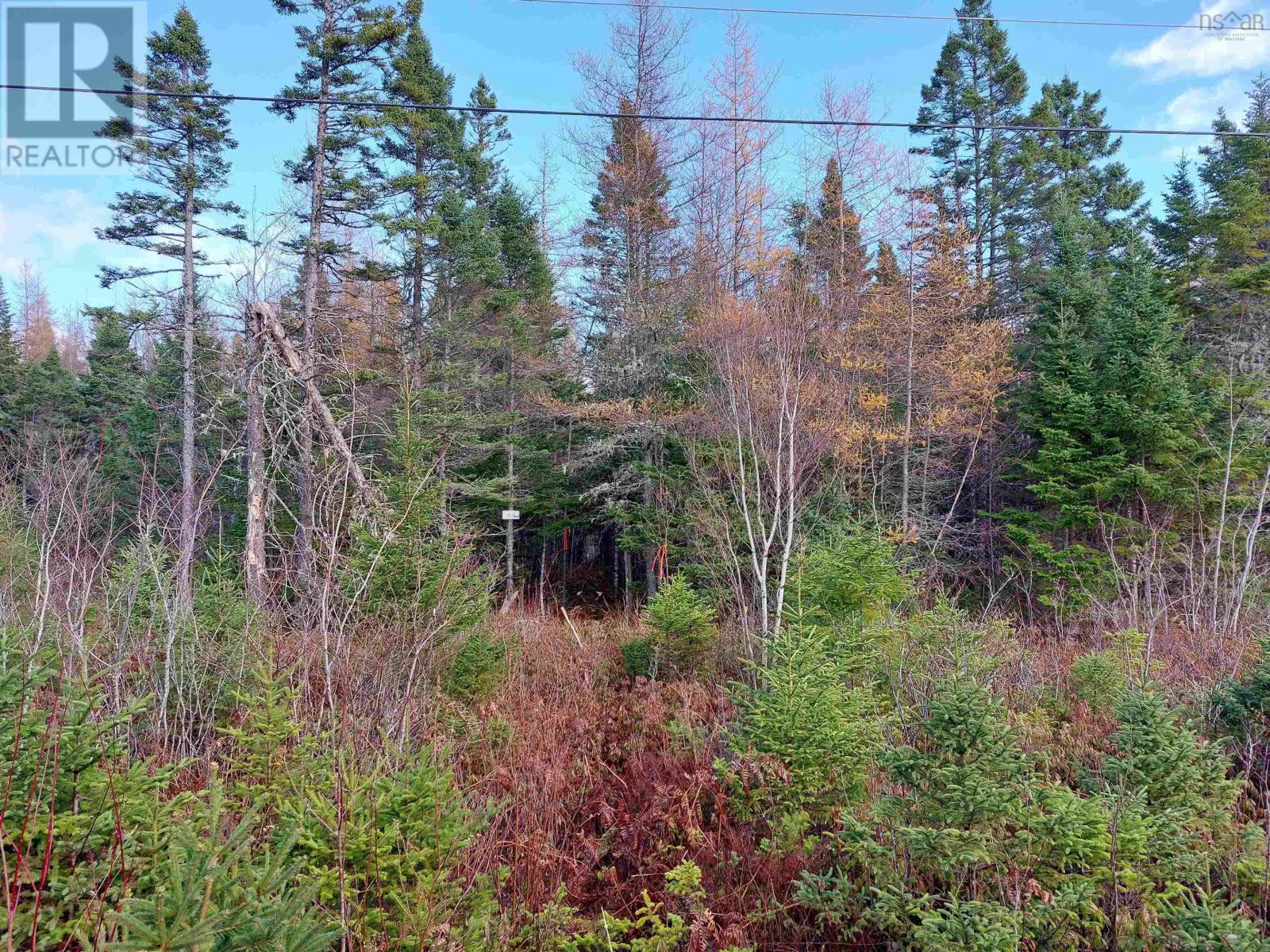 Lot 3 Tranquil Shore Road, Marshes (West Bay), Nova Scotia  B0E 1V0 - Photo 14 - 202403366