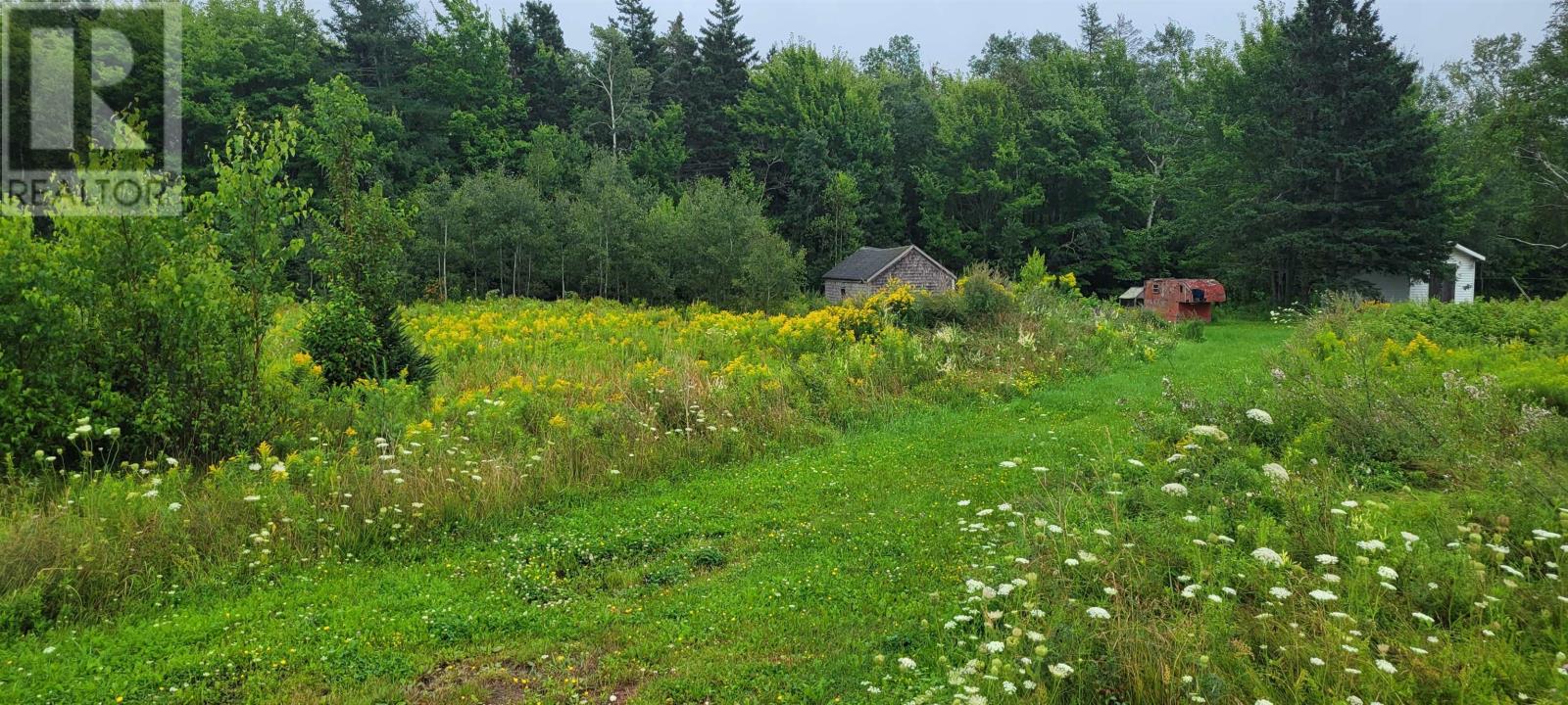 Lot Western Road, Western Road, Route 2, Mount Pleasant, Prince Edward Island  C0B 1J0 - Photo 2 - 202320477