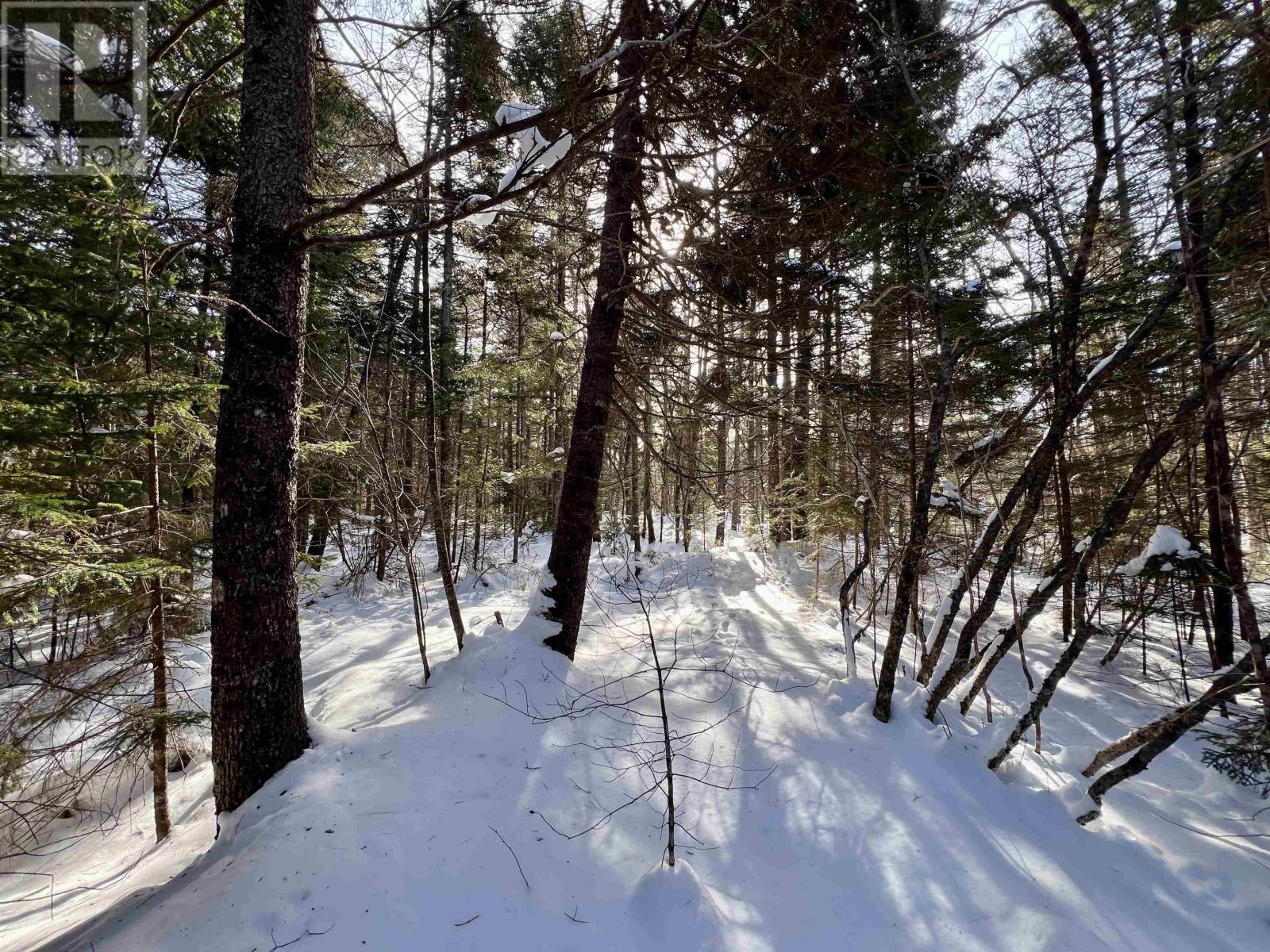 Lot 1 & 2 Highway 103, Brooklyn, Nova Scotia  B0J 1H0 - Photo 11 - 202403398