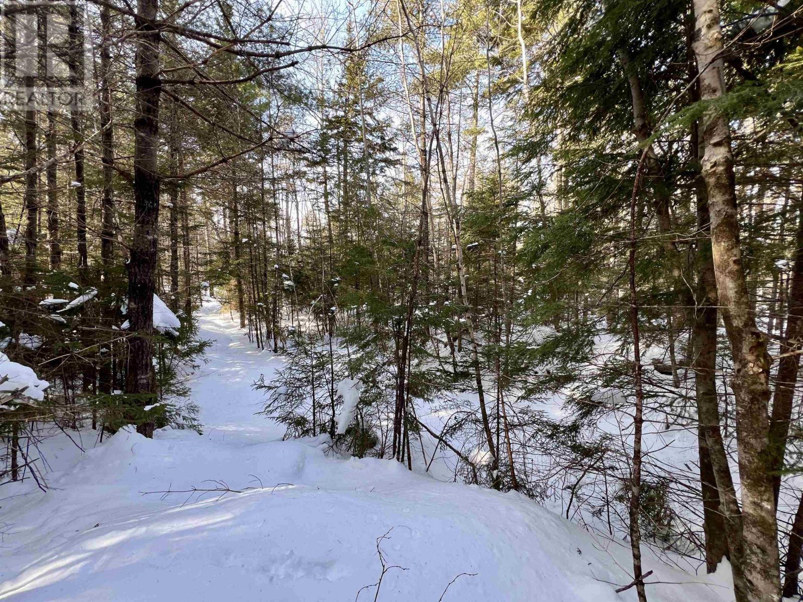 Lot 1 & 2 Highway 103, Brooklyn, Nova Scotia  B0J 1H0 - Photo 12 - 202403398