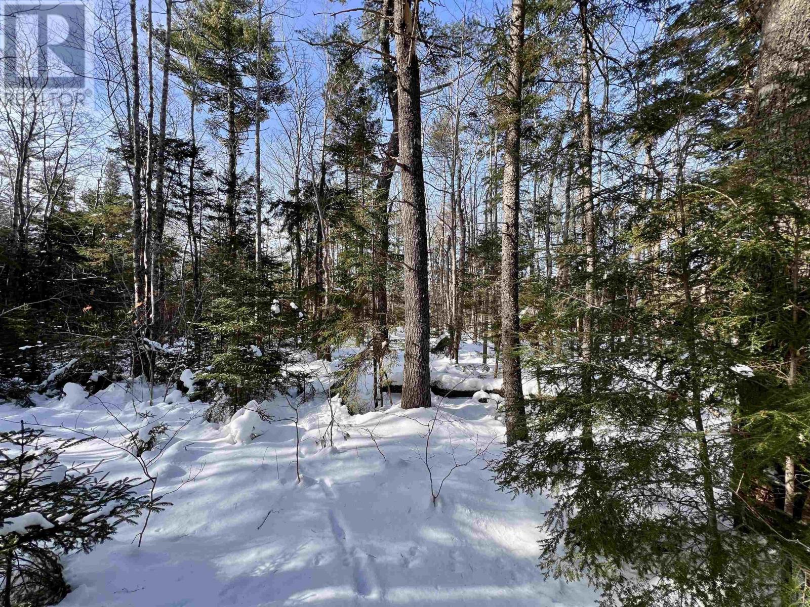 Lot 1 & 2 Highway 103, Brooklyn, Nova Scotia  B0J 1H0 - Photo 13 - 202403398