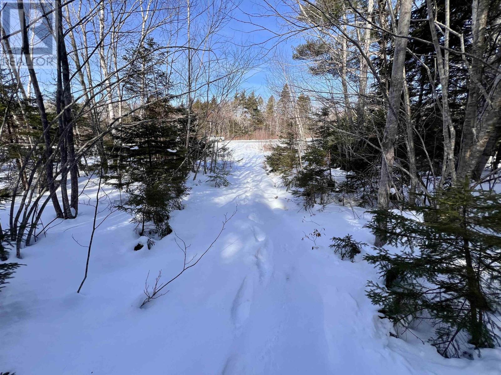 Lot 1 & 2 Highway 103, Brooklyn, Nova Scotia  B0J 1H0 - Photo 15 - 202403398