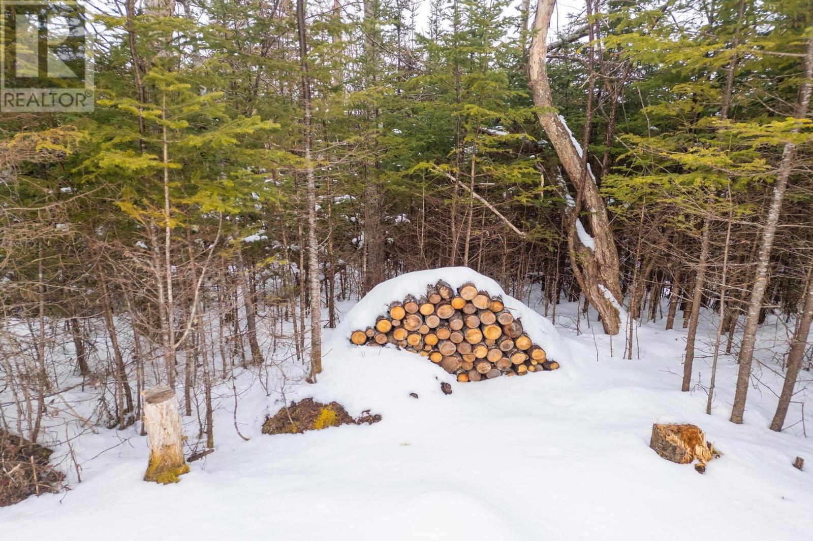 90 Canon Rock Lane, Shad Bay, Nova Scotia  B3T 2C1 - Photo 46 - 202403408