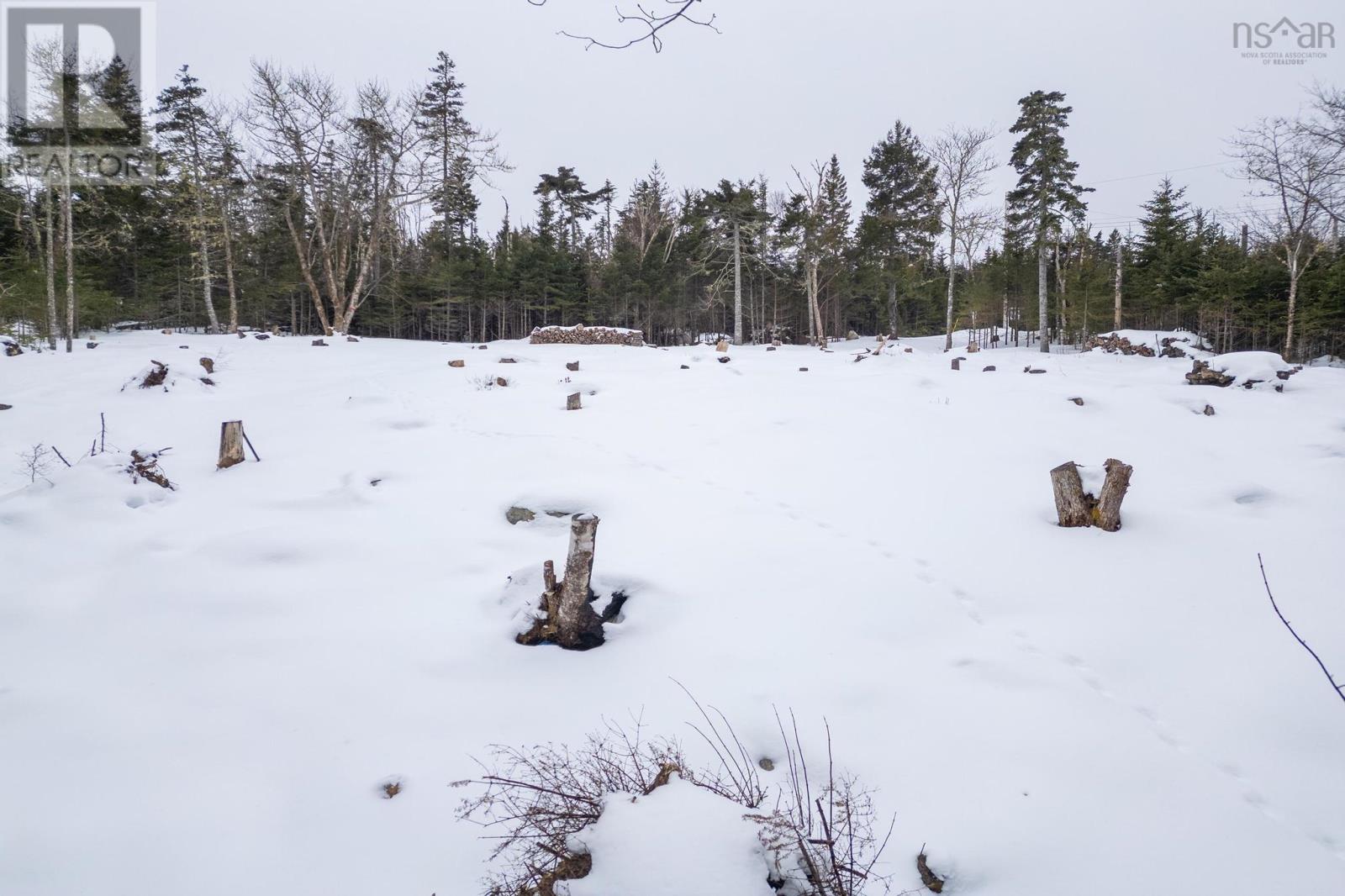 90 Canon Rock Lane, Shad Bay, Nova Scotia  B3T 2C1 - Photo 47 - 202403408