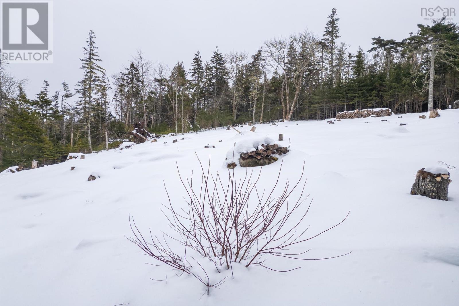 90 Canon Rock Lane, Shad Bay, Nova Scotia  B3T 2C1 - Photo 49 - 202403408