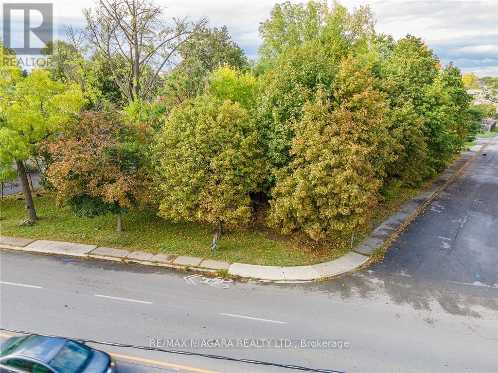 45 Eastchester Ave, St. Catharines, Ontario  L2P 2Y5 - Photo 4 - X8092676