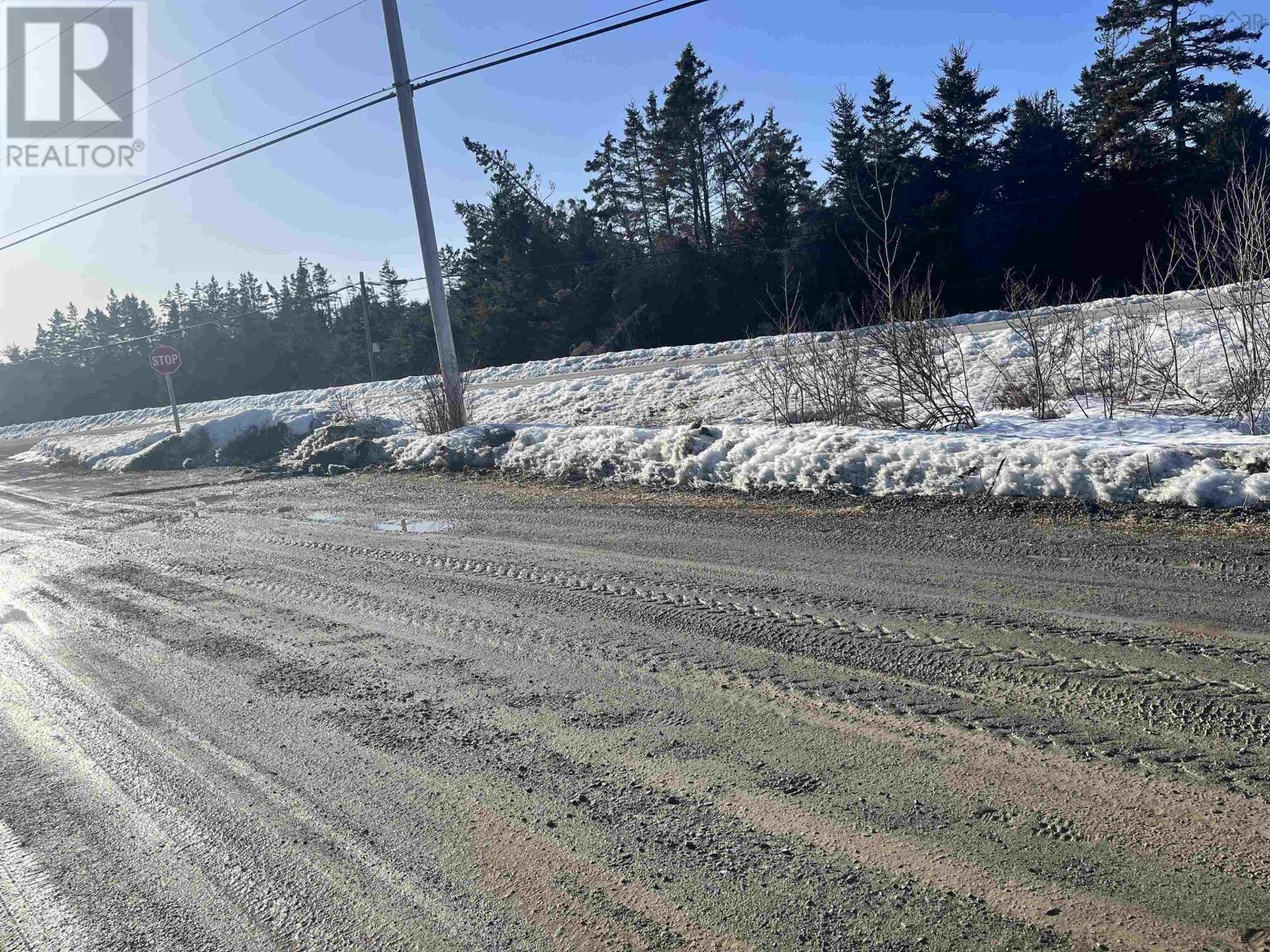 Highway 7, Smiths Cove, Nova Scotia  B0J 2K0 - Photo 11 - 202403410