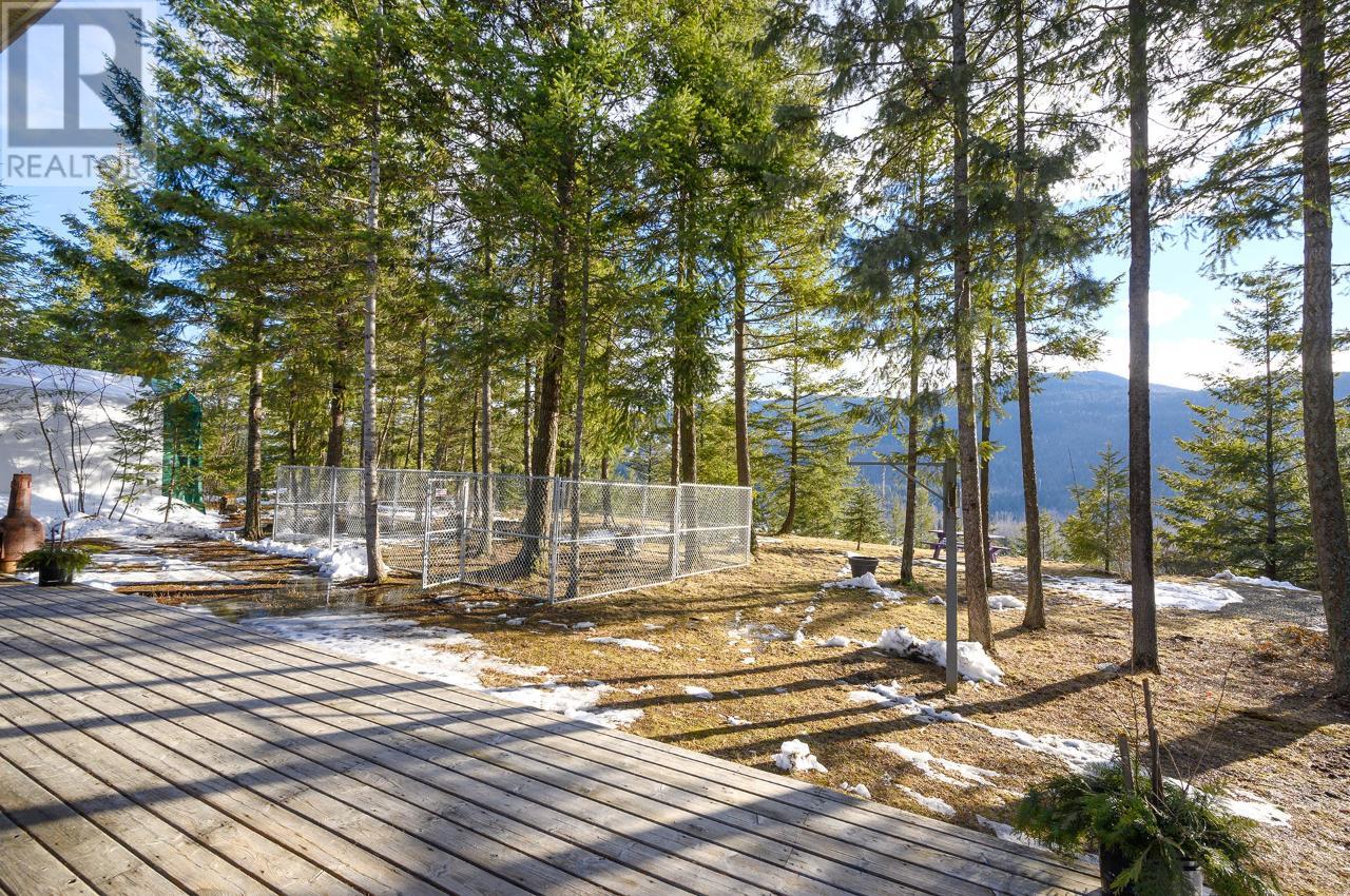 536 Park Drive, Clearwater, British Columbia  V0E 1N1 - Photo 49 - 176878