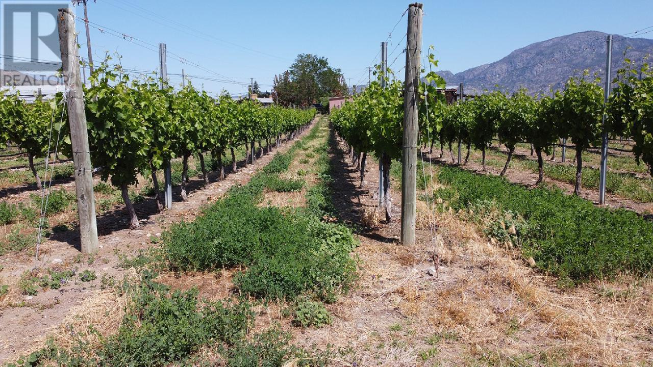 4401 107th Street, Osoyoos, British Columbia  V0h 1V4 - Photo 17 - 199571