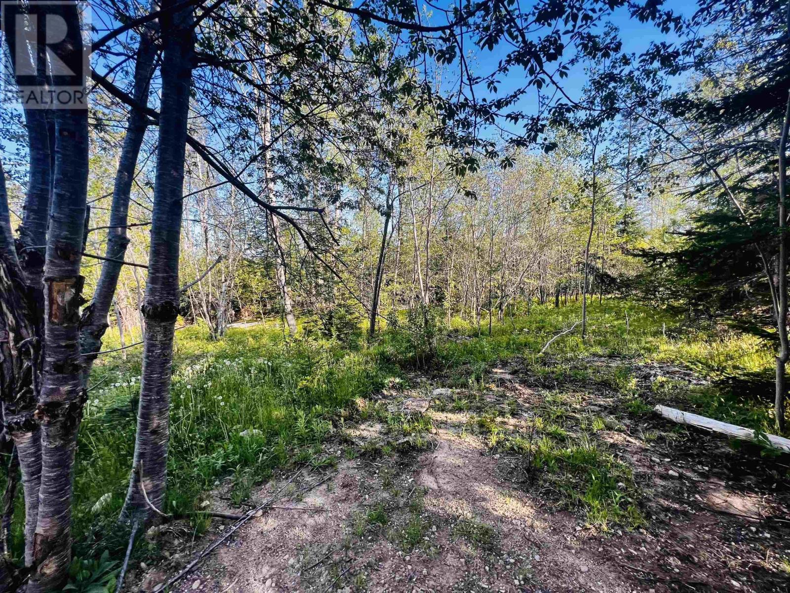 6 Alder Crescent, New Russell, Nova Scotia  B0T 2M0 - Photo 10 - 202403432