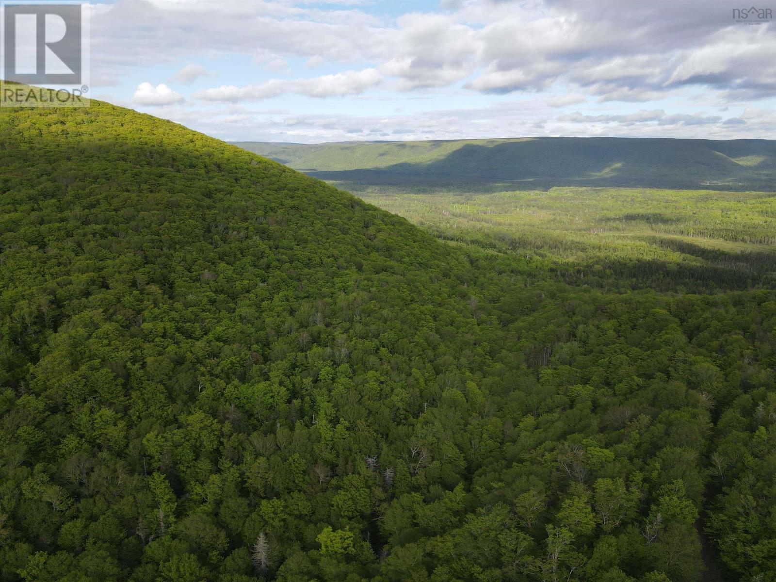 19564 Marsh Brook Road, Margaree Valley, Nova Scotia  B0E 2C0 - Photo 4 - 202403434