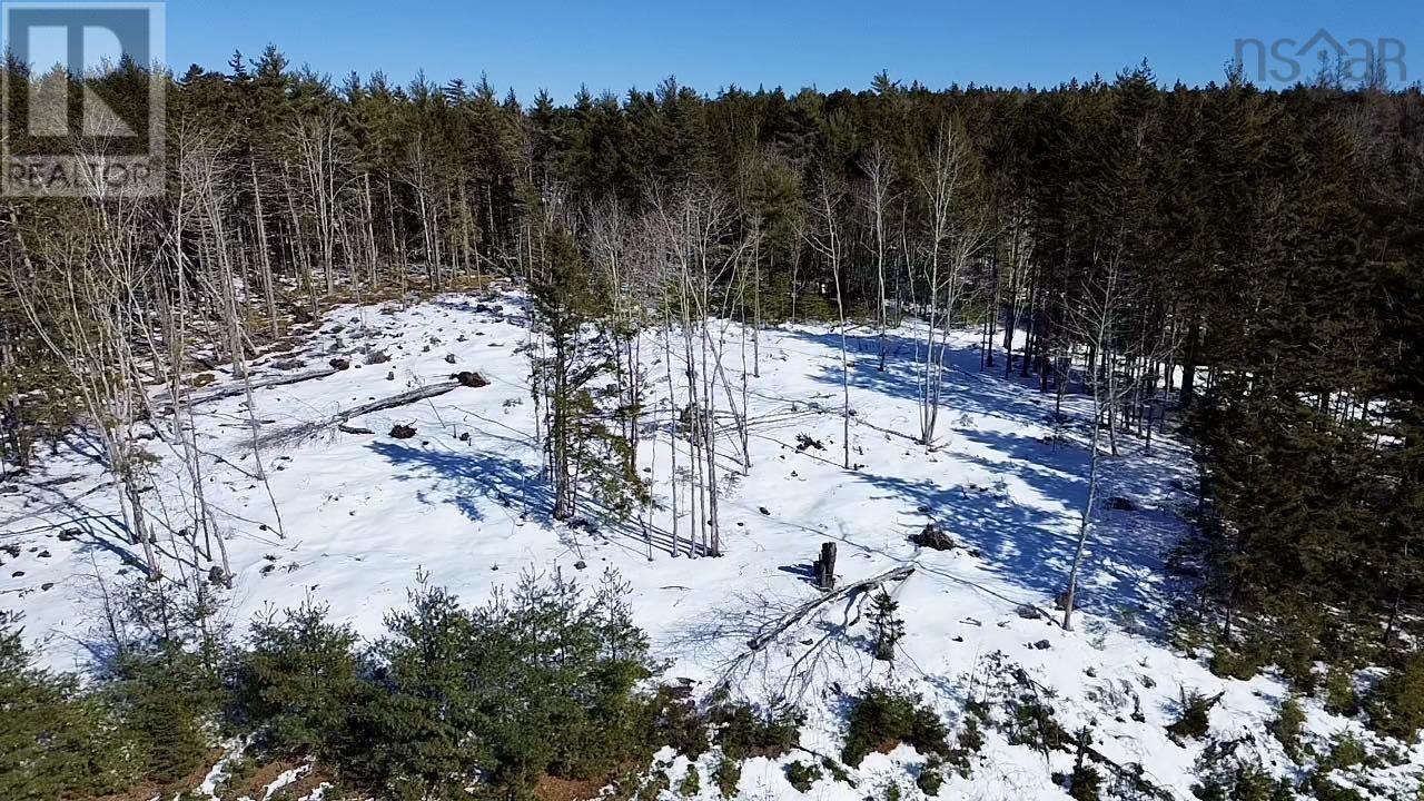 Lot 1 Mullock Road, Rhodes Corner, Nova Scotia  B4V 5N5 - Photo 4 - 202403431