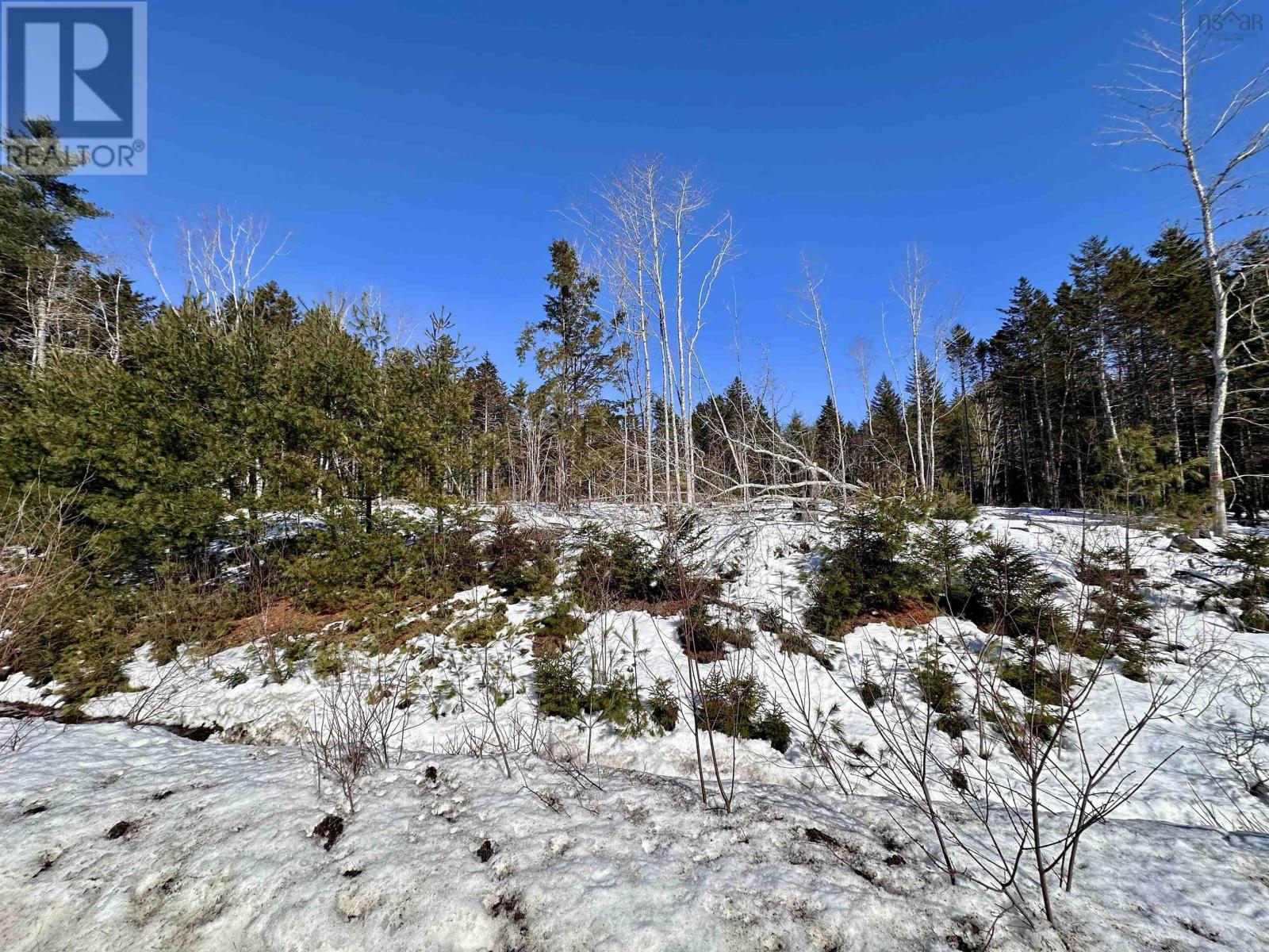 Lot 1 Mullock Road, Rhodes Corner, Nova Scotia  B4V 5N5 - Photo 5 - 202403431