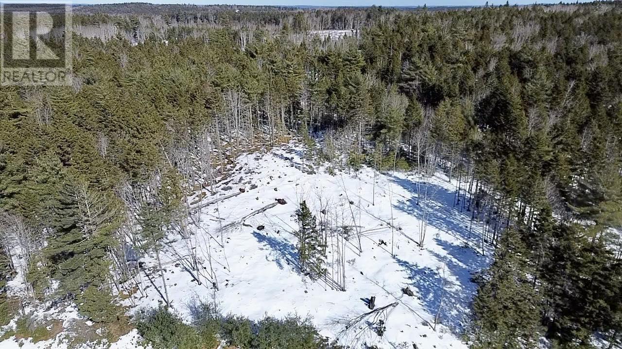 Lot 1 Mullock Road, Rhodes Corner, Nova Scotia  B4V 5N5 - Photo 7 - 202403431