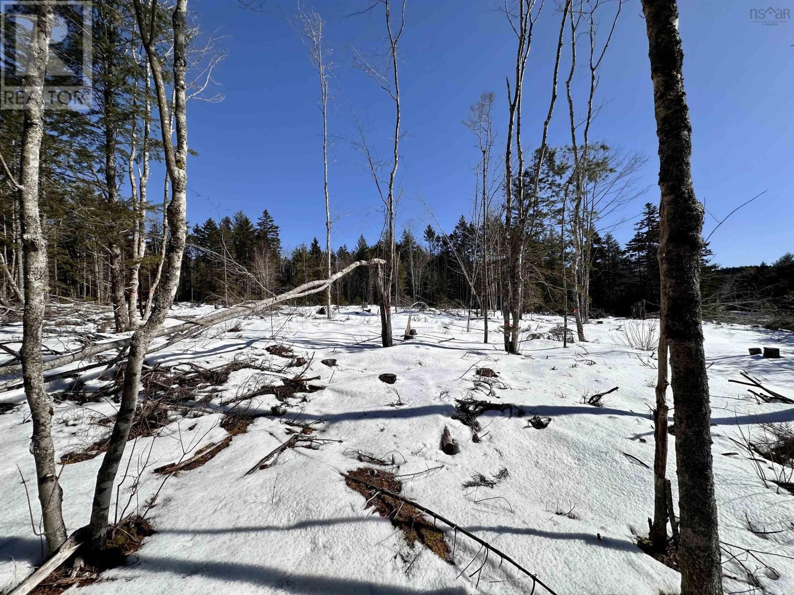 Lot 1 Mullock Road, Rhodes Corner, Nova Scotia  B4V 5N5 - Photo 8 - 202403431