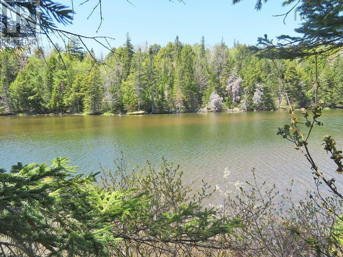 Washabuck Road, Washabuck Bridge, Nova Scotia  B2C 1N5 - Photo 10 - 202403446