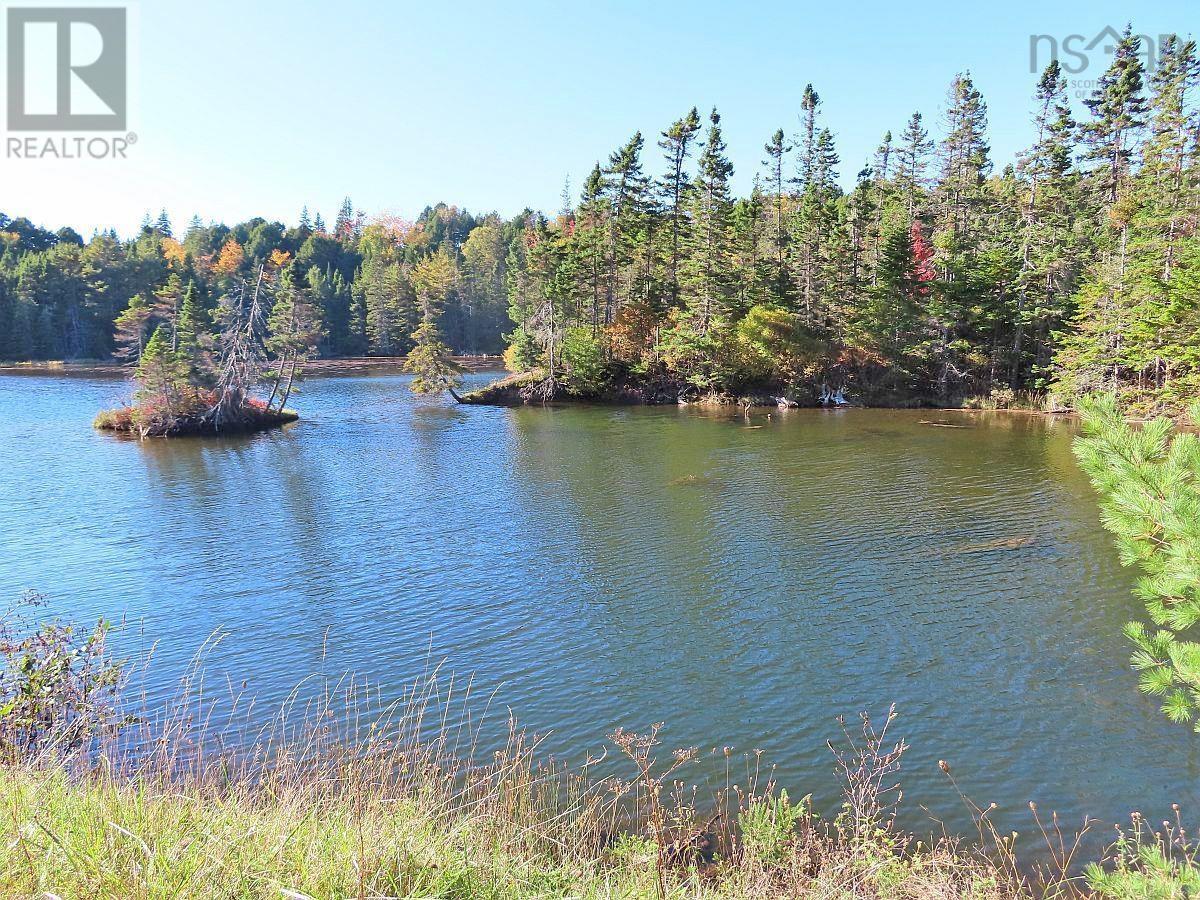 Washabuck Road, Washabuck Bridge, Nova Scotia  B2C 1N5 - Photo 11 - 202403446