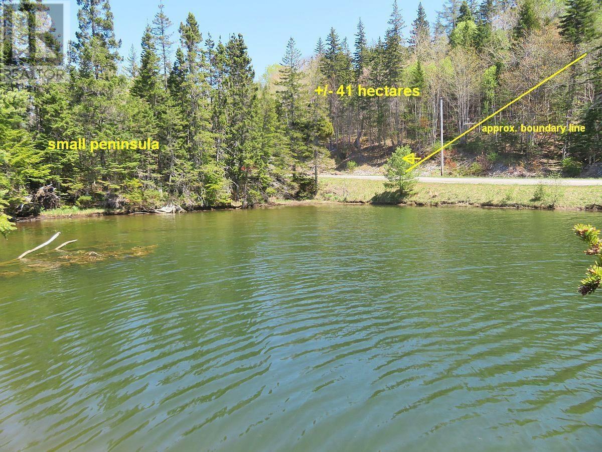 Washabuck Road, Washabuck Bridge, Nova Scotia  B2C 1N5 - Photo 12 - 202403446