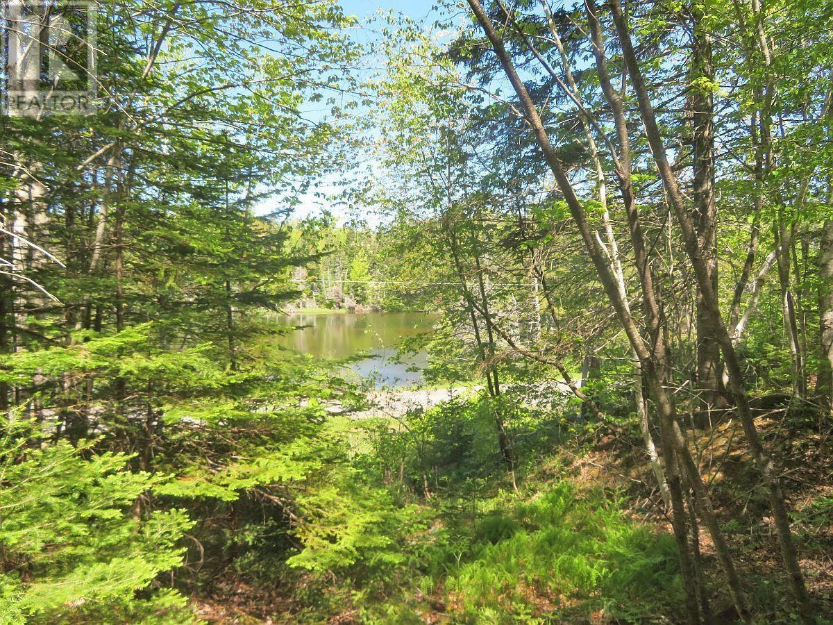 Washabuck Road, Washabuck Bridge, Nova Scotia  B2C 1N5 - Photo 13 - 202403446