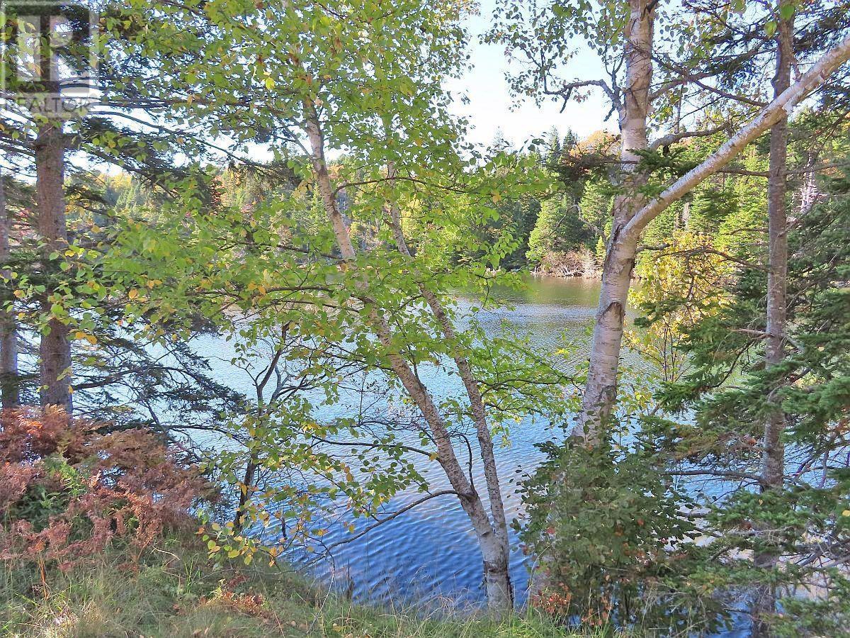 Washabuck Road, Washabuck Bridge, Nova Scotia  B2C 1N5 - Photo 14 - 202403446
