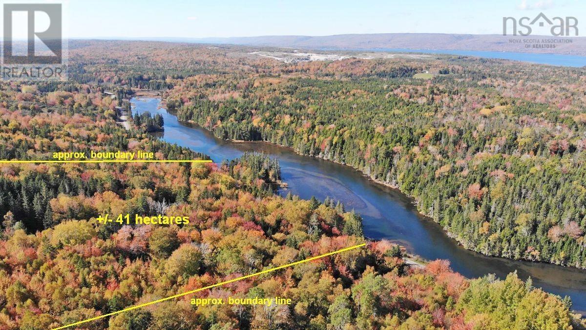 Washabuck Road, Washabuck Bridge, Nova Scotia  B2C 1N5 - Photo 2 - 202403446