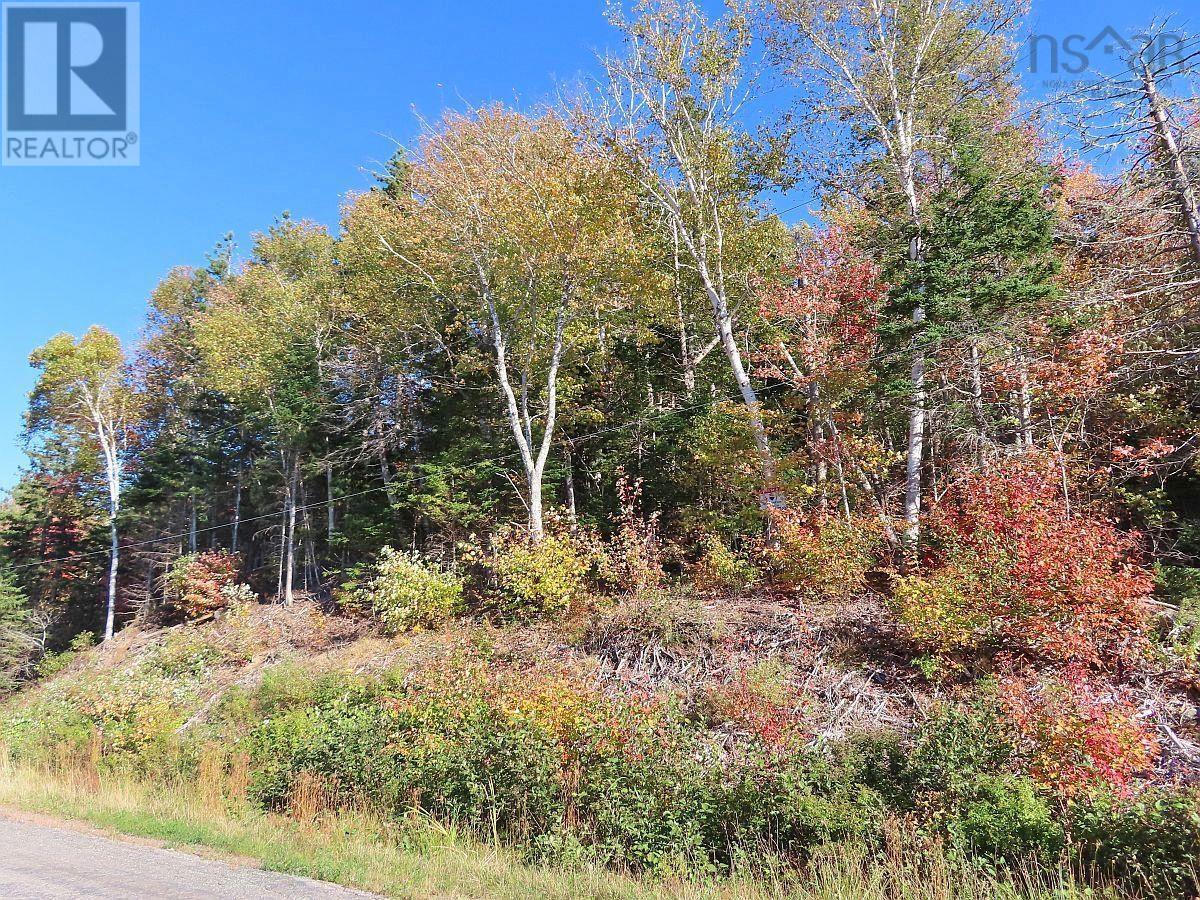 Washabuck Road, Washabuck Bridge, Nova Scotia  B2C 1N5 - Photo 20 - 202403446