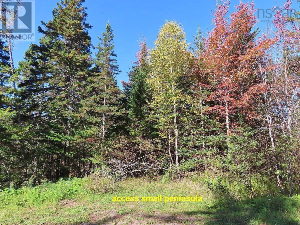 Washabuck Road, Washabuck Bridge, Nova Scotia  B2C 1N5 - Photo 21 - 202403446
