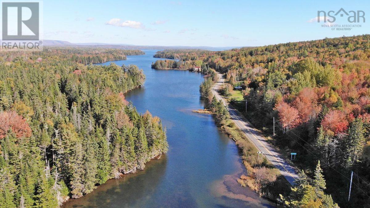 Washabuck Road, Washabuck Bridge, Nova Scotia  B2C 1N5 - Photo 22 - 202403446