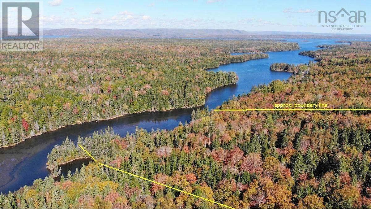Washabuck Road, Washabuck Bridge, Nova Scotia  B2C 1N5 - Photo 23 - 202403446