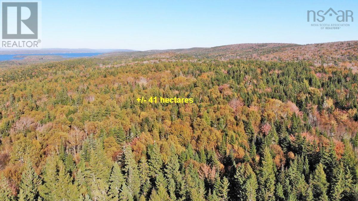 Washabuck Road, Washabuck Bridge, Nova Scotia  B2C 1N5 - Photo 24 - 202403446
