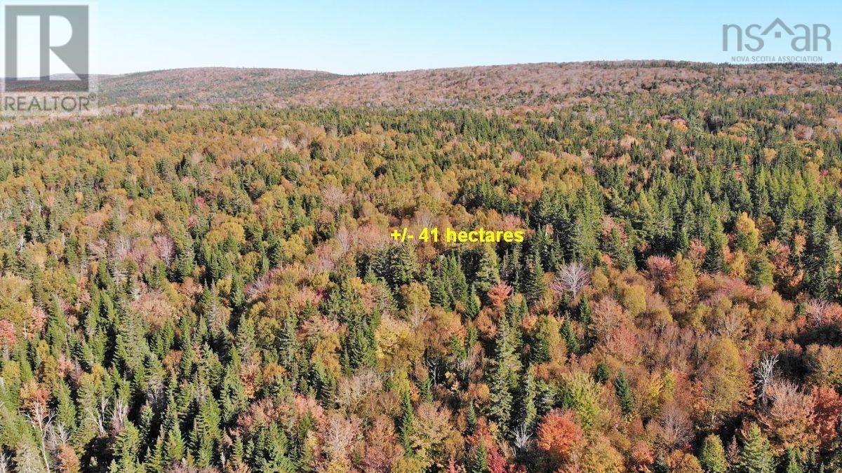 Washabuck Road, Washabuck Bridge, Nova Scotia  B2C 1N5 - Photo 25 - 202403446