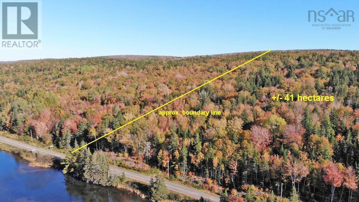 Washabuck Road, Washabuck Bridge, Nova Scotia  B2C 1N5 - Photo 26 - 202403446